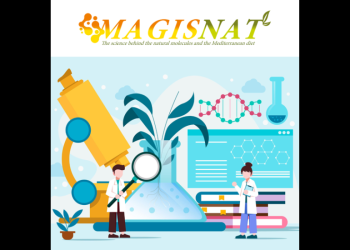 Magisnat