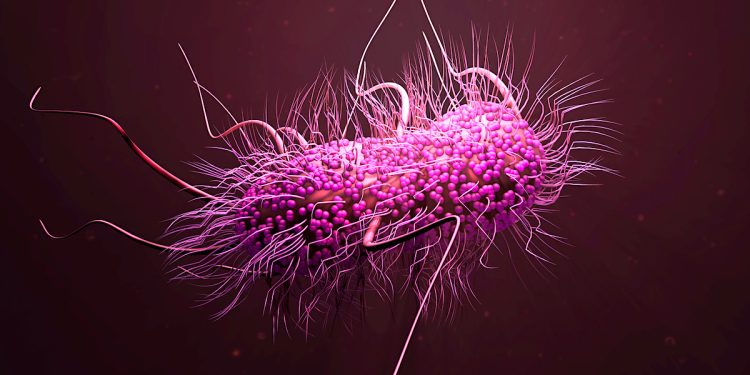 Fighting Superbugs and Reducing Healthcare-Associated Infections with Vitastem Ultra